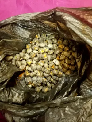 Banana Seed