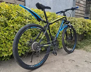 Original Cycle