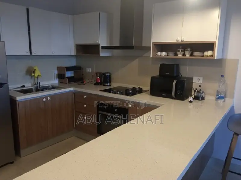 Furnished 3bdrm Apartment in Kirkos for rent