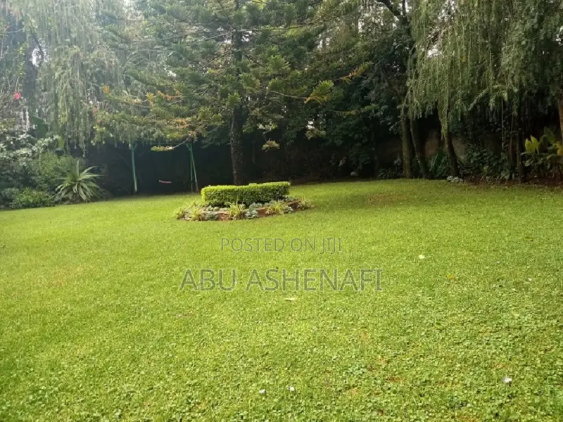 3bdrm House in Yeka for rent