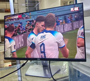 Dell Monitor