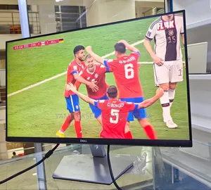 Dell Monitor