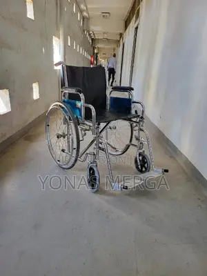 Wheelchair Walking Stick Chair
