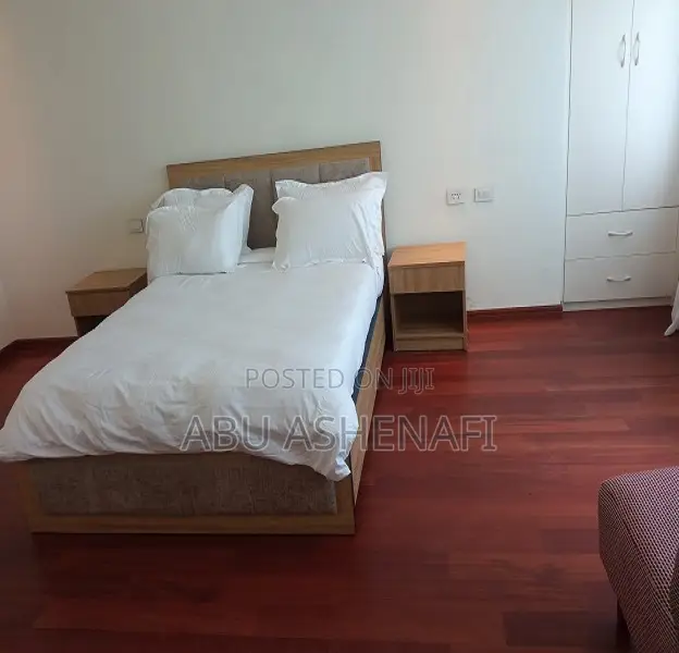 Furnished 1bdrm Apartment in Bole for rent