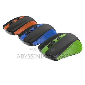 Ergonomic Design 2.4g Wireless Mouse