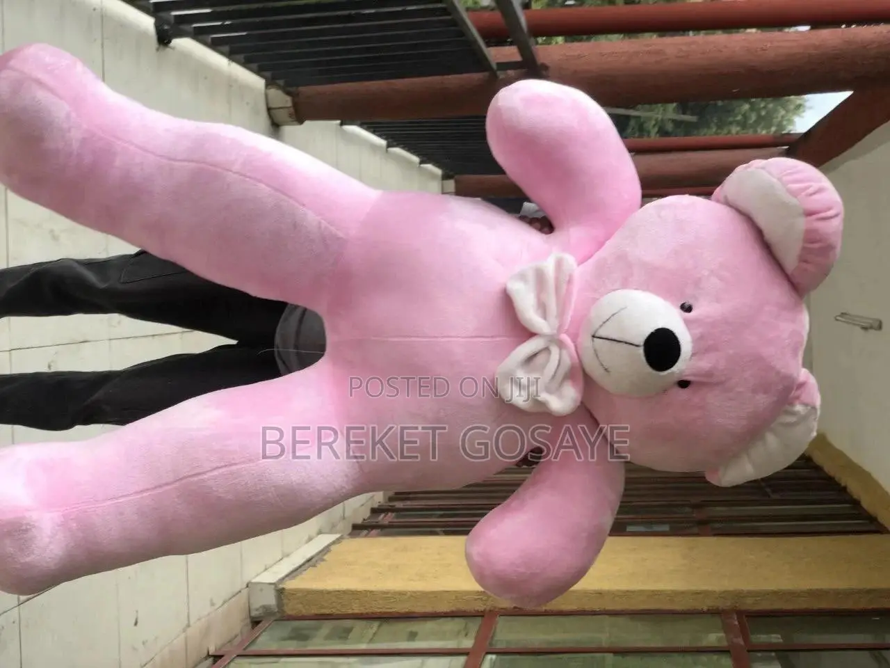 Teddy Bear
