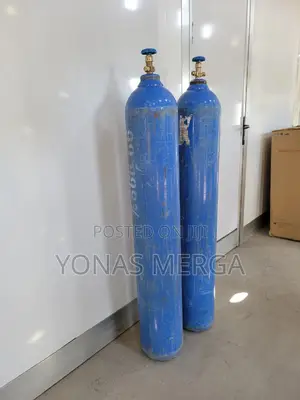 Oxygen Cylinder 42l再言oxygen Bottle Medical Oxygen Storage Tank