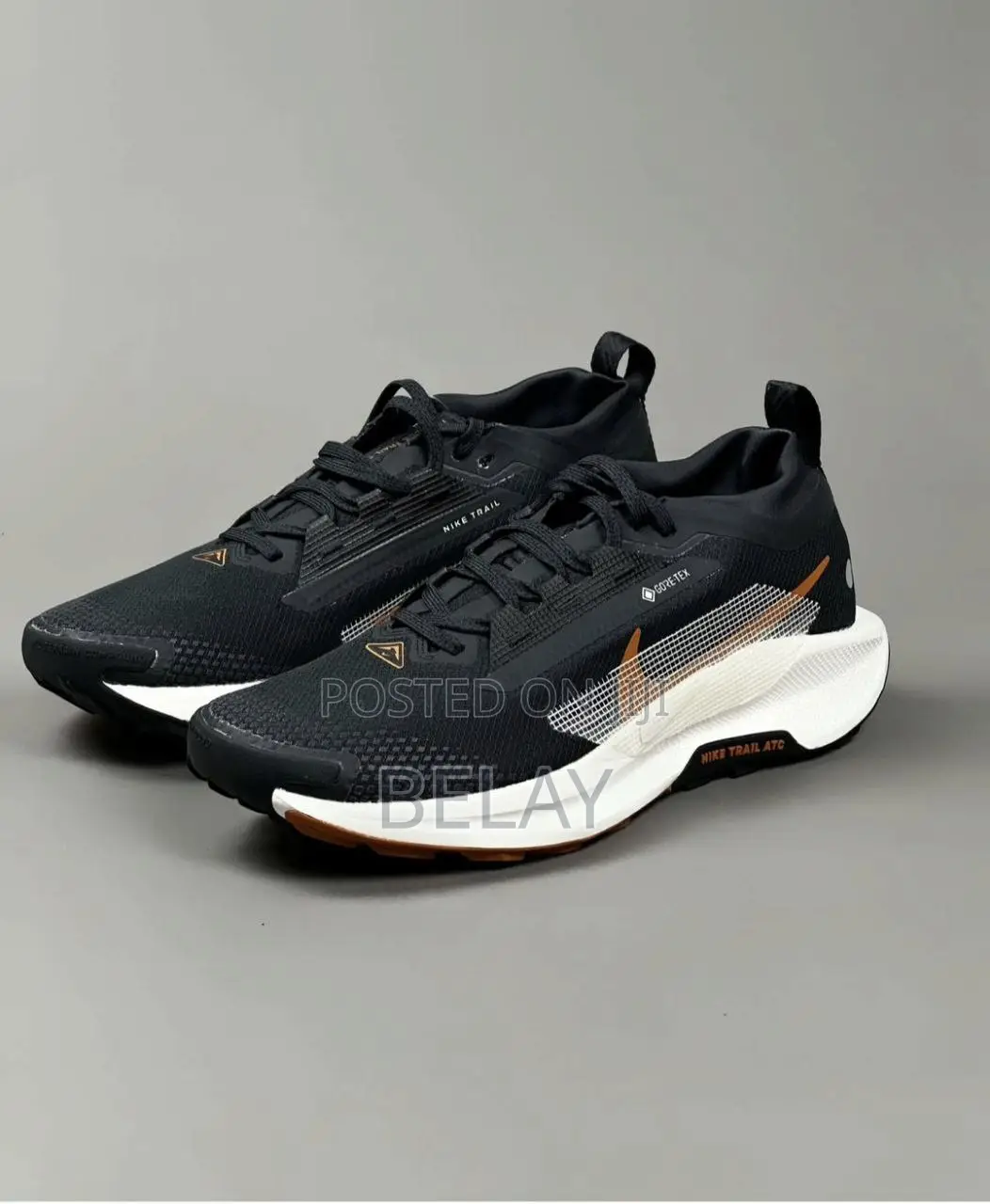 Men's Shoes Nike Pegasus Trail 5 Gore-Tex