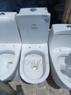 Golden Dragon Toilet