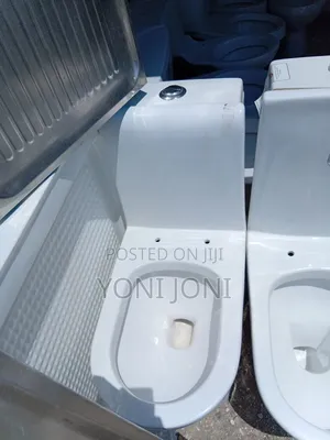 Toilet Sink