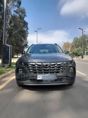Hyundai Tucson 2021 Gray