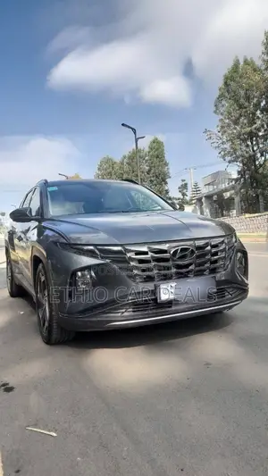 Hyundai Tucson 2021 Gray