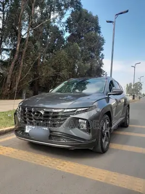 Hyundai Tucson 2021 Gray