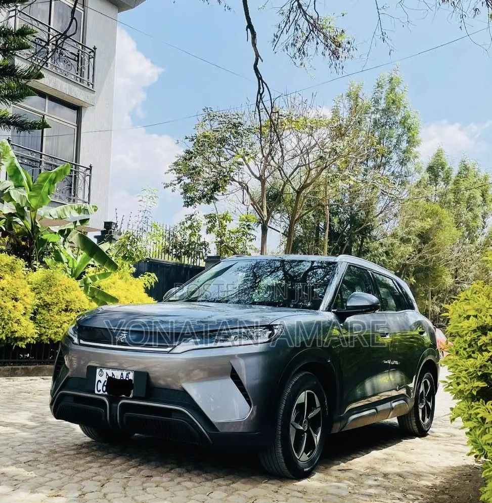 BYD Yuan Up 2024 Gray