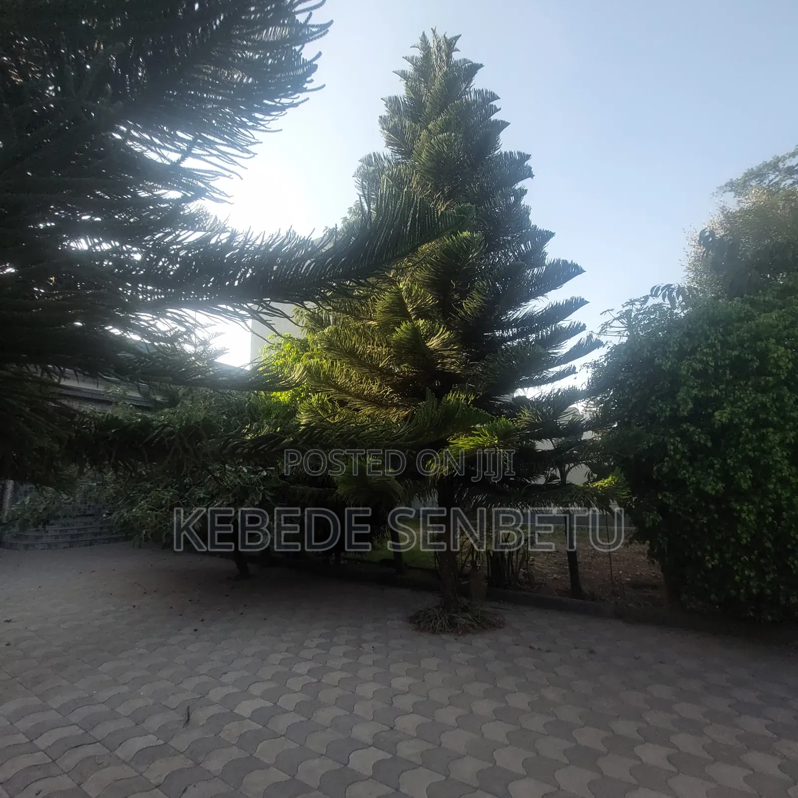 Furnished 2bdrm House in Oromia, East Shewa for rent