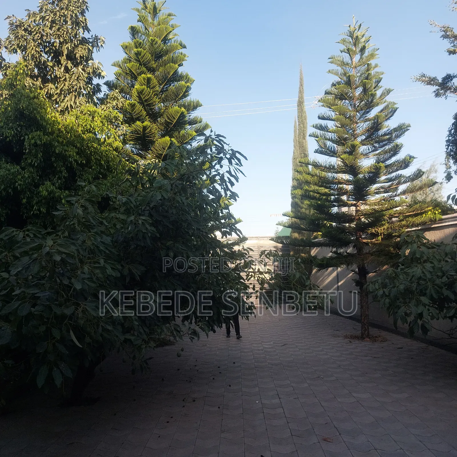 Furnished 2bdrm House in Oromia, East Shewa for rent