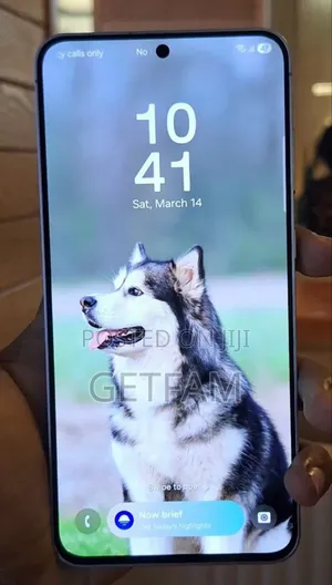 New Samsung Galaxy S25 FE 128 GB Silver