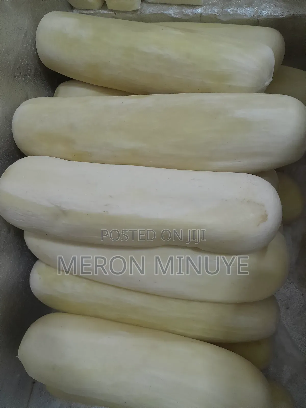 Provolone Cheese