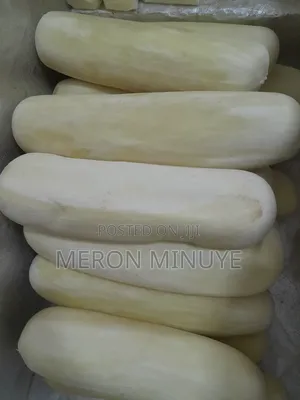 Provolone Cheese