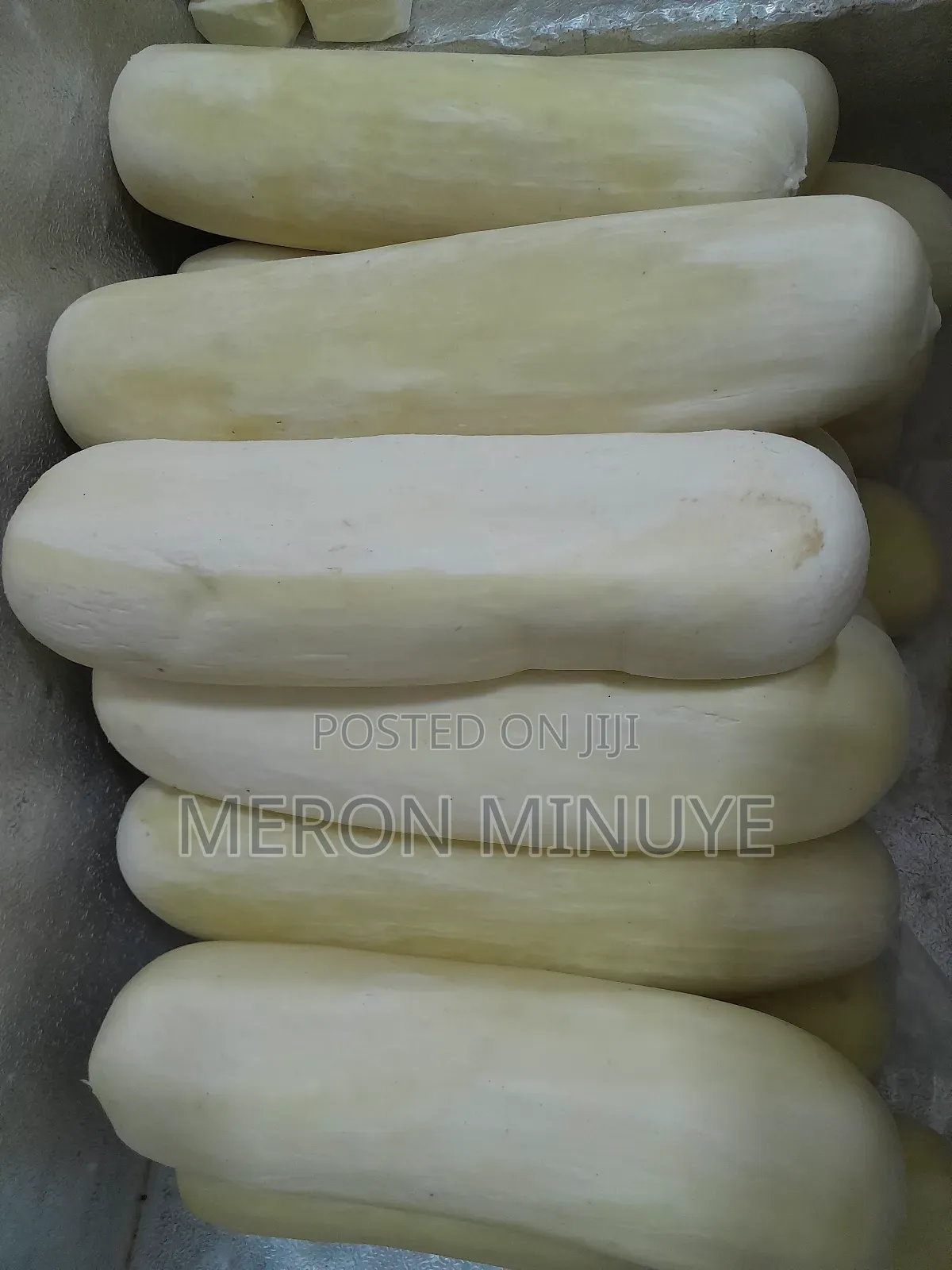 Provolone Cheese