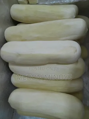 Provolone Cheese