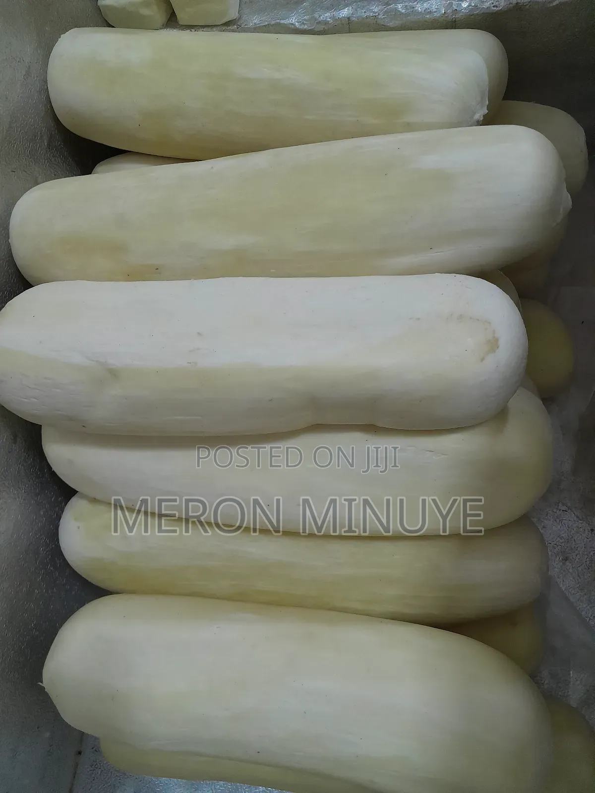 Provolone Cheese