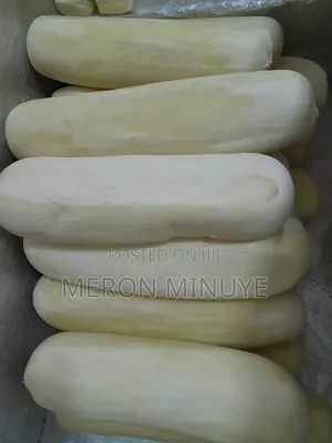 Provolone Cheese