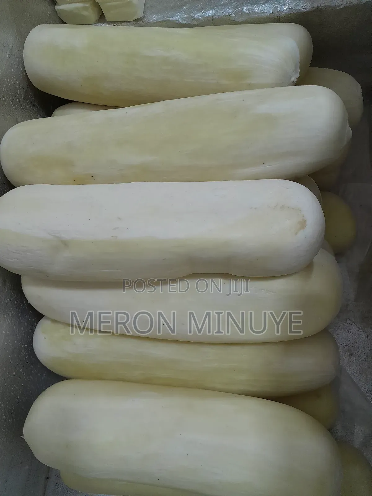 Provolone Cheese