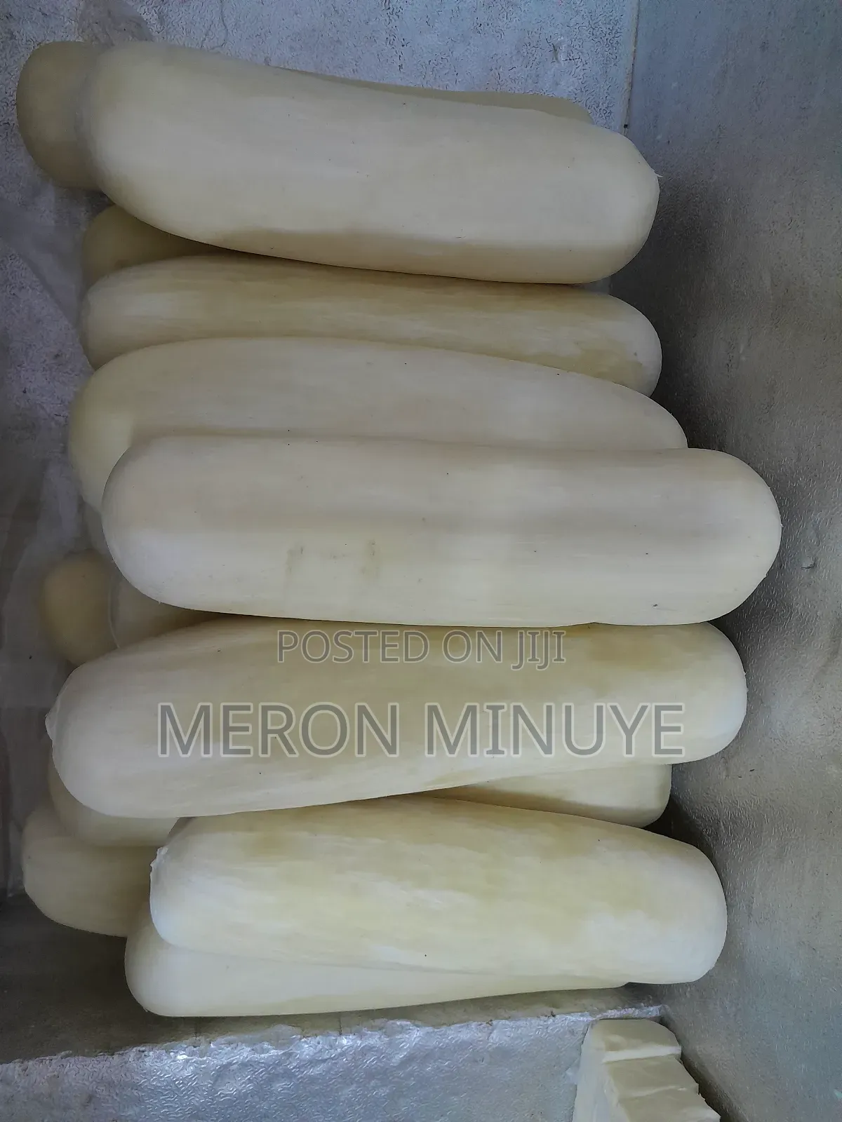 Provolone Cheese