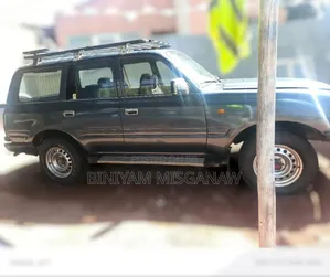 Toyota Land Cruiser 1993 Gray