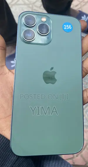 Apple iPhone 13 Pro Max 256 GB Green