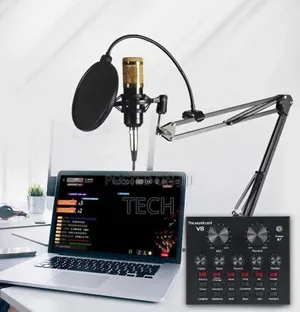 Professional Mic Condenser