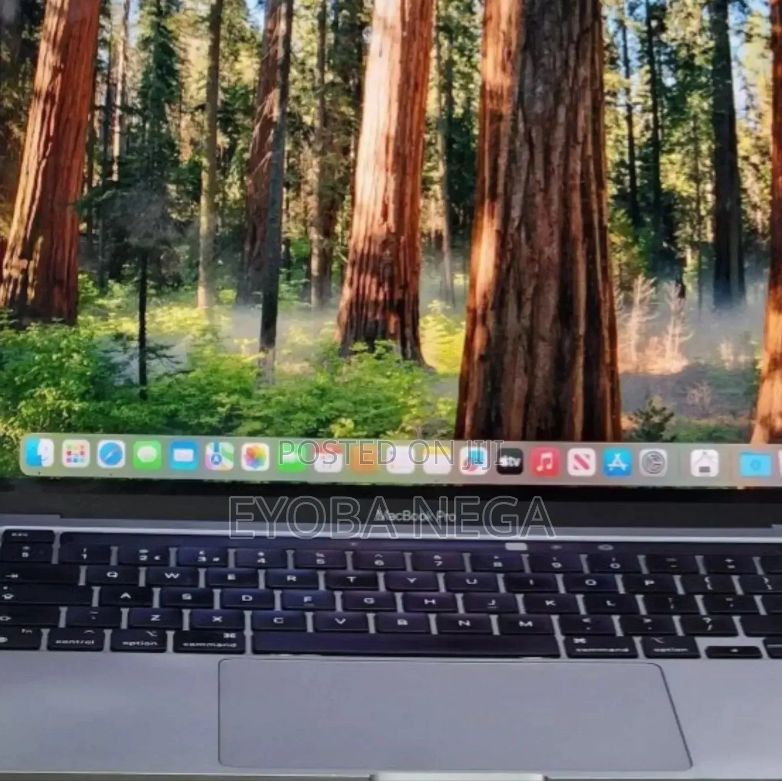 Laptop Apple MacBook Pro M1 8GB Apple M1 SSD 256GB
