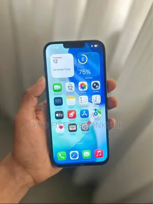 Apple iPhone 13 Pro Max 256 GB Gray