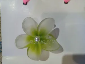 Womens Hair Clips