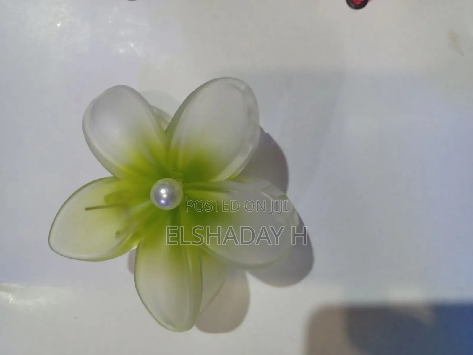 Womens Hair Clips