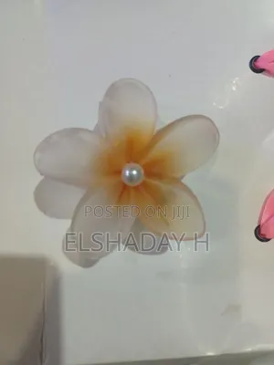Women's Hair Claw