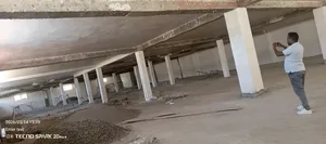 የሚከራይ መጋዝን