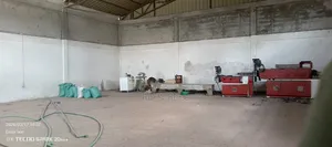 የሚከራይ መጋዝን