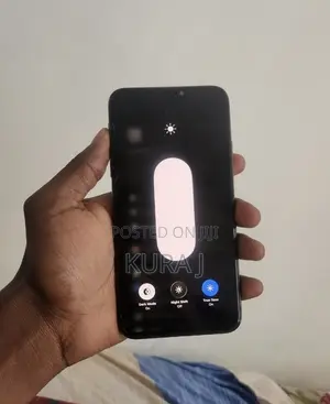Apple iPhone 11 Pro Max 256 GB Gray