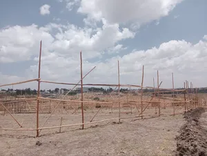 የሚሸጥ 75 ካሬ የኮሪደር ተነሺ(ልማት ተነሺ) መሬት