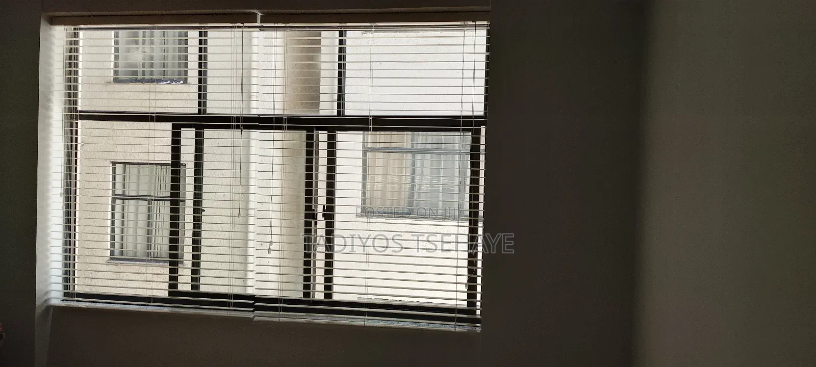 Venetian Curtain