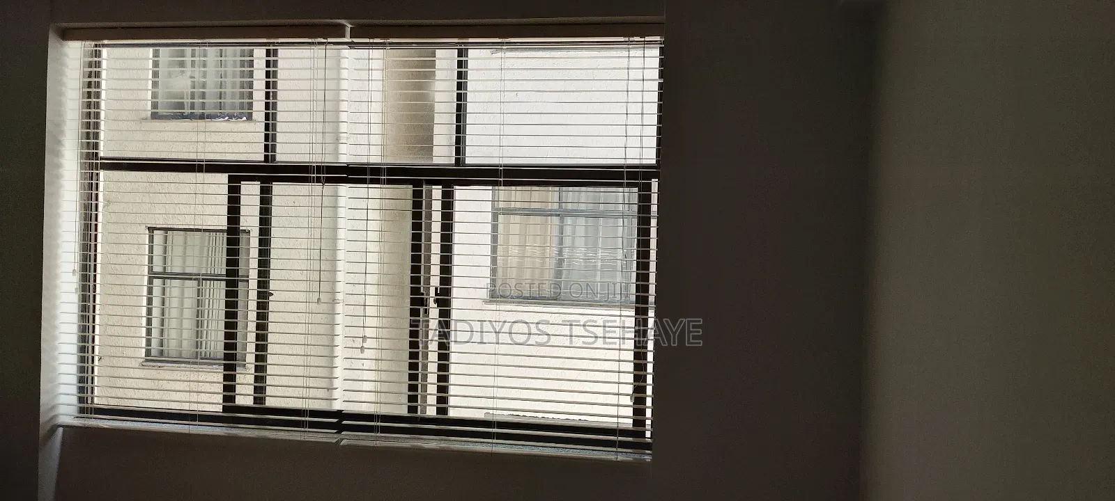 Venetian Curtain