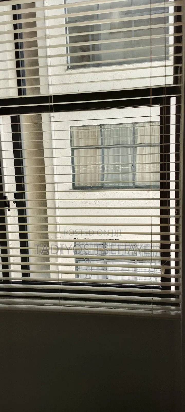 Venetian Curtain