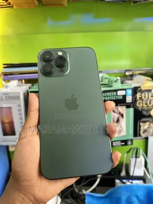New Apple iPhone 13 Pro Max 256 GB Green