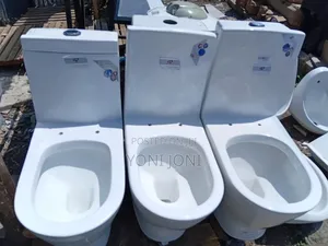 Golden Dragon Toilet Seat