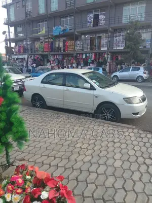 Toyota Corolla 2007 Ivory