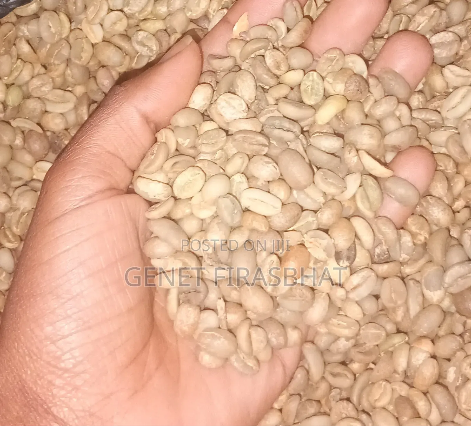 Coffee Beans