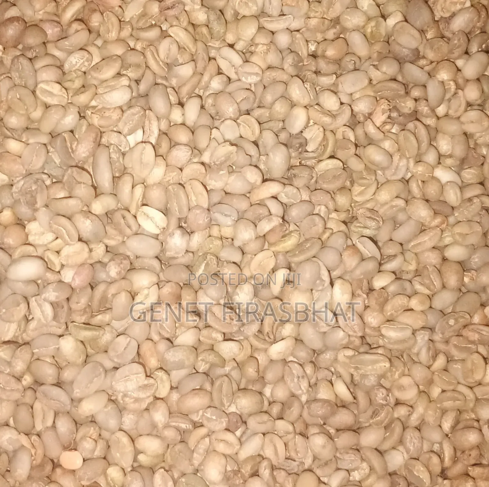 Coffee Beans