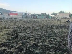 Furnished 5bdrm House in Dukam, East Shewa for sale